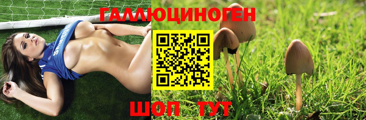 закладки  Галлюциногенные грибы GOLDEN TEACHER  Вход с VPN  Кинель 